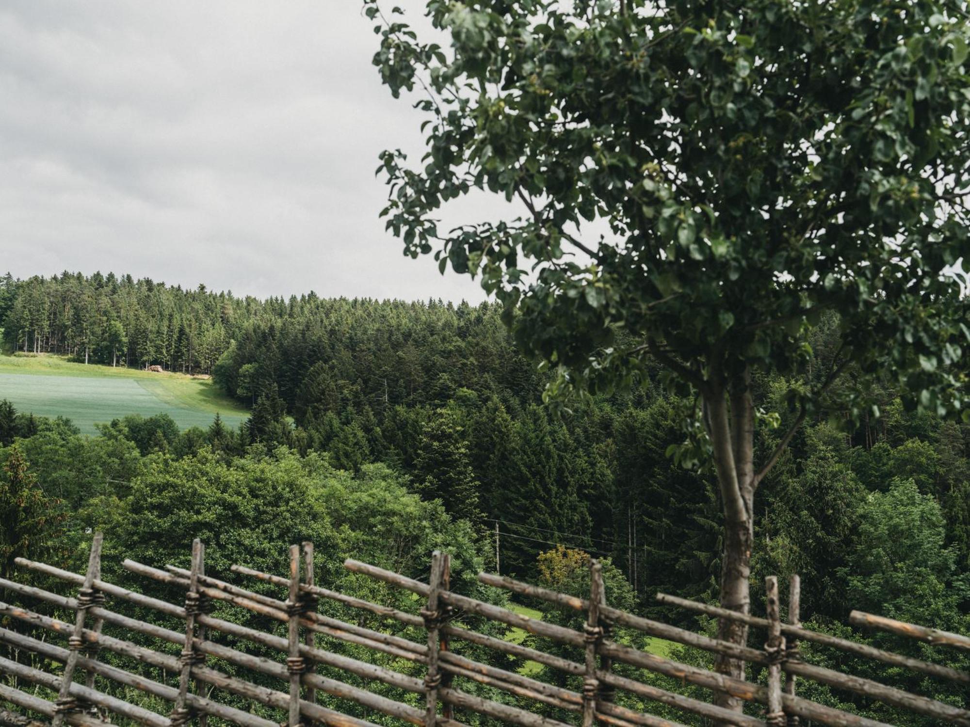 Hotel Muhr Pollauberg Luaran gambar