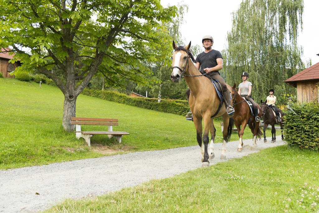 Hotel Muhr Pollauberg Luaran gambar